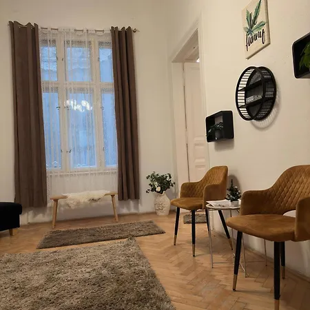 The Stylish Apartment *