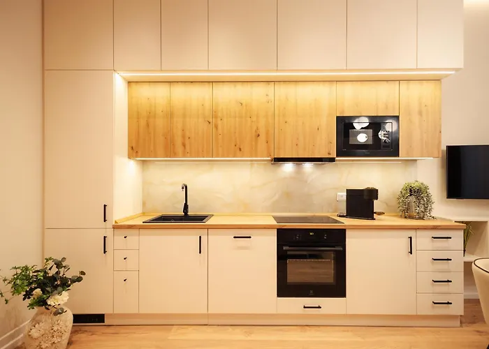 The Stylish Apartament